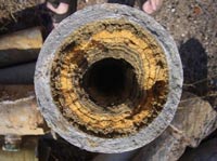 Waterwell Solutions